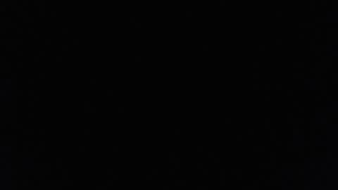 Lilly  online show from February 25, 4:21 pm