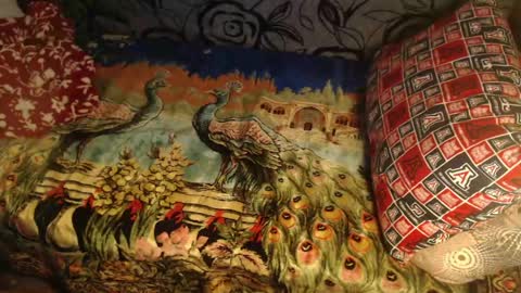 Lilly  online show from April 10, 2:50 am