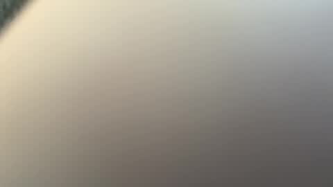 newjerseyhorny online show from March 9, 3:38 pm