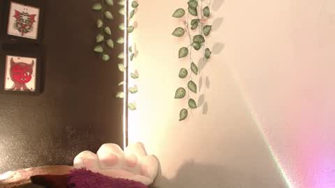  niakat  online show from January 16, 3:10 am