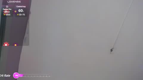 Niawk online show from February 7, 3:30 pm