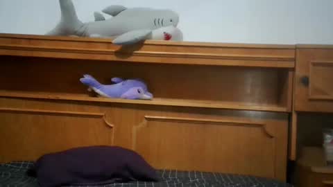 Nicholle online show from July 1, 8:52 pm