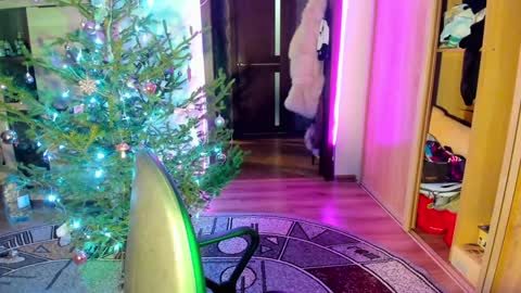 Nicky Weekends online show from January 14, 12:00 am