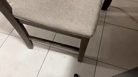 Carlos Nico online show from March 5, 9:38 am