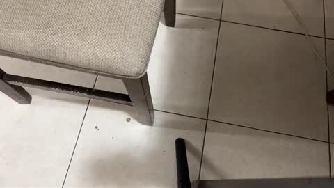 Carlos Nico online show from March 15, 9:26 am