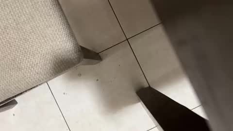 Snapshot of nicocar83pty chatting on March 2, 9:05 am Carlos Nico online show from March 2, 9:05 am