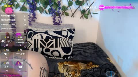 Nicolle ardila online show from April 11, 10:25 pm