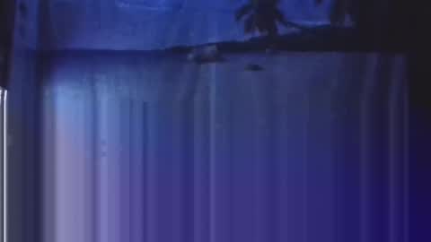 Snapshot of nightgoat666 chatting on January 21, 3:37 am OHB Old Horny Bastard online show from January 21, 3:37 am