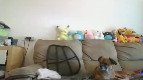 Brian and Logan Brogan online show from November 19, 7:52 am