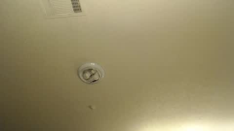 Nikki Mastersgirl1091 online show from April 10, 1:38 pm