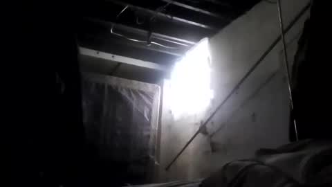 nillapuddin2 online show from February 2, 2:24 pm