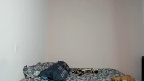  Nina  online show from November 22, 8:41 pm