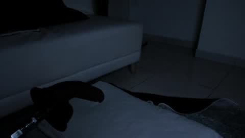 Snapshot of nina_sweetz chatting on June 22, 6:27 pm Nina online show from June 22, 6:27 pm