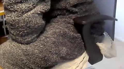 nineinchhard online show from December 4, 9:07 am