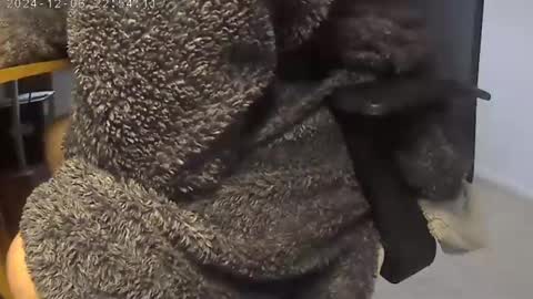 nineinchhard online show from December 5, 9:28 am