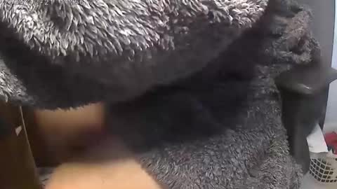 nineinchhard online show from December 21, 11:55 am