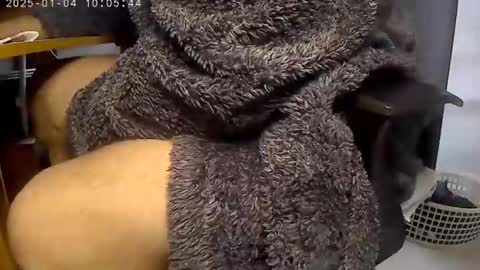 nineinchhard online show from January 4, 10:05 am