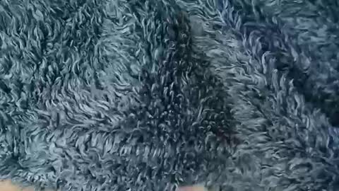 nineinchhard online show from February 19, 10:55 am