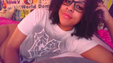 Snapshot of nintendhoe_ chatting on February 25, 5:08 am kiwi online show from February 25, 5:08 am