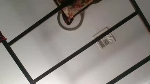 nipplechaser online show from January 18, 5:37 pm