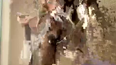 Snapshot of nnm110 chatting on February 9, 9:37 am nnm110 online show from February 9, 9:37 am