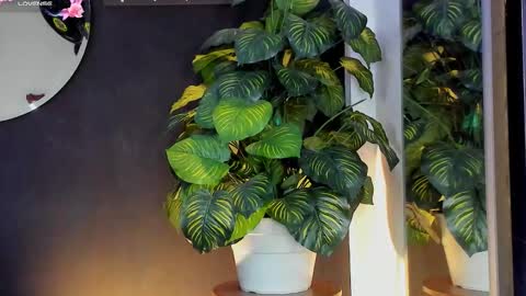 Noah  online show from March 20, 3:22 am