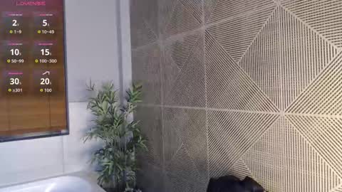 noah_dupont_ online show from February 22, 11:53 am