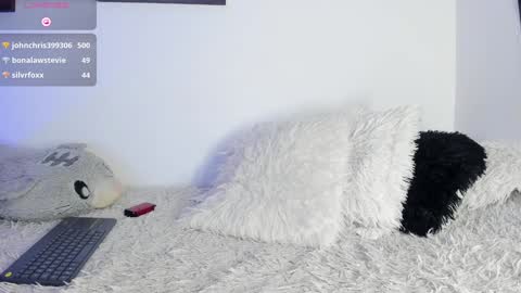 Snapshot of noah_lambert chatting on January 20, 3:26 am Noah online show from January 20, 3:26 am