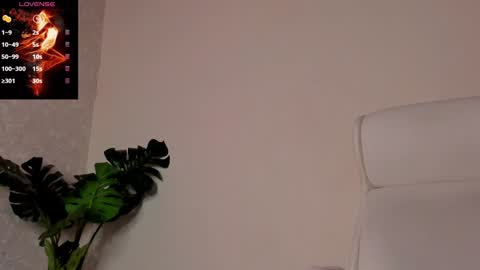 Noah online show from December 30, 6:27 pm