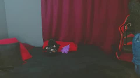 Noamartin online show from February 27, 1:59 am