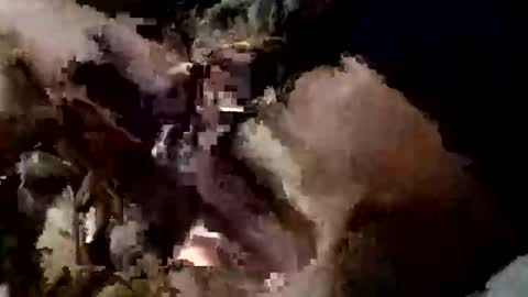 Snapshot of nocturnus1980 chatting on September 10, 5:40 am nocturnus1980 online show from September 10, 5:40 am