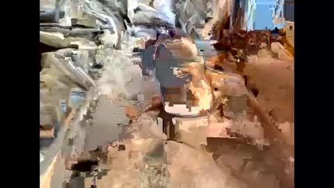 nolplus online show from March 7, 7:19 am