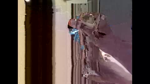 nolplus online show from September 22, 4:36 am