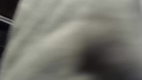 nombah_ online show from December 16, 1:21 am