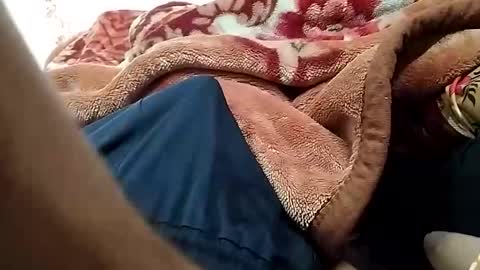 sim  nib online show from February 5, 5:01 am