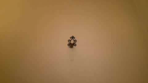 Snapshot of noscandal chatting on February 21, 12:16 am noscandal online show from February 21, 12:16 am