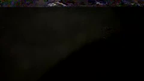 Snapshot of nousernamehello chatting on May 4, 3:02 am DarqLight online show from May 4, 3:02 am