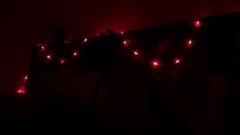 NOVA online show from October 19, 2:45 am