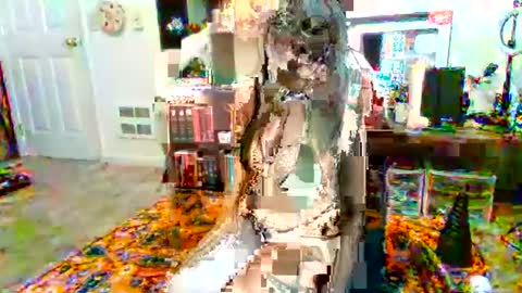 NovaNocturnal616 online show from December 21, 6:55 pm