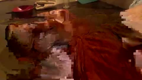 nurod online show from January 14, 6:19 am