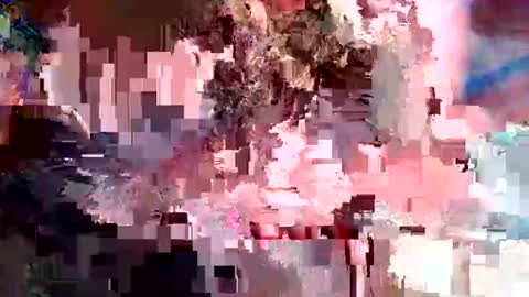 nxrmvljxn online show from December 1, 2:49 am