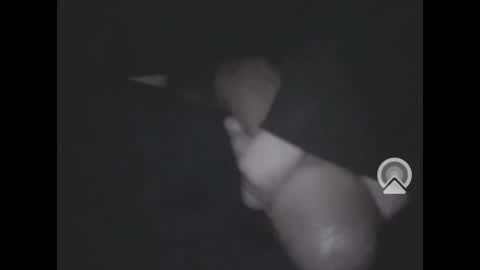 Snapshot of nympham chatting on April 4, 7:06 am nympham online show from April 4, 7:06 am