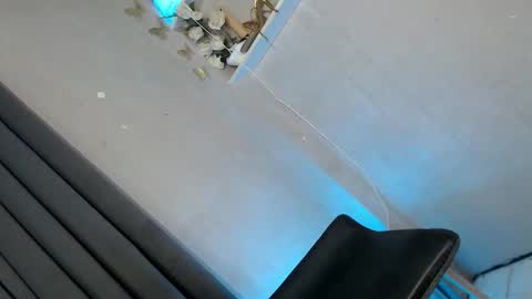 obeymycurves online show from January 11, 2:49 am