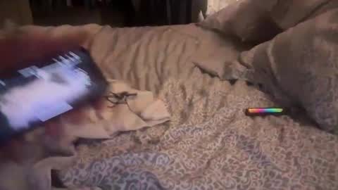 obiwand653040 online show from November 4, 5:28 am