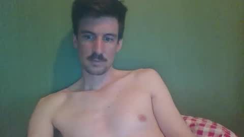 octobot2 online show from April 12, 3:17 pm