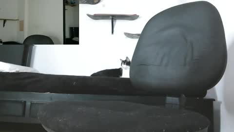 Snapshot of oezack__ chatting on May 13, 3:48 am Zack online show from May 13, 3:48 am