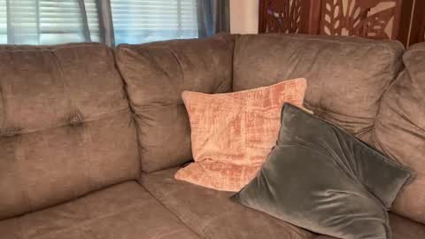 Tams online show from September 9, 3:11 pm