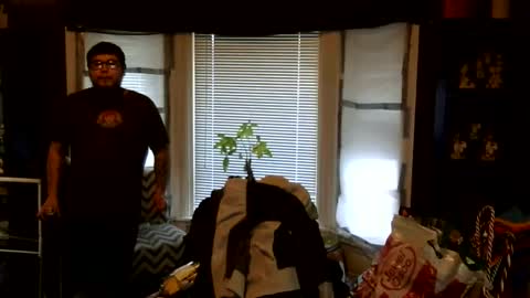 oscar flores online show from March 1, 1:02 pm