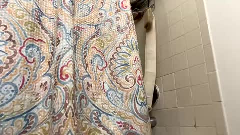 ogtripmushem online show from November 15, 7:43 pm