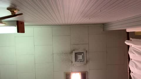 Snapshot of okayfinee chatting on November 16, 2:50 am Bush is gross online show from November 16, 2:50 am